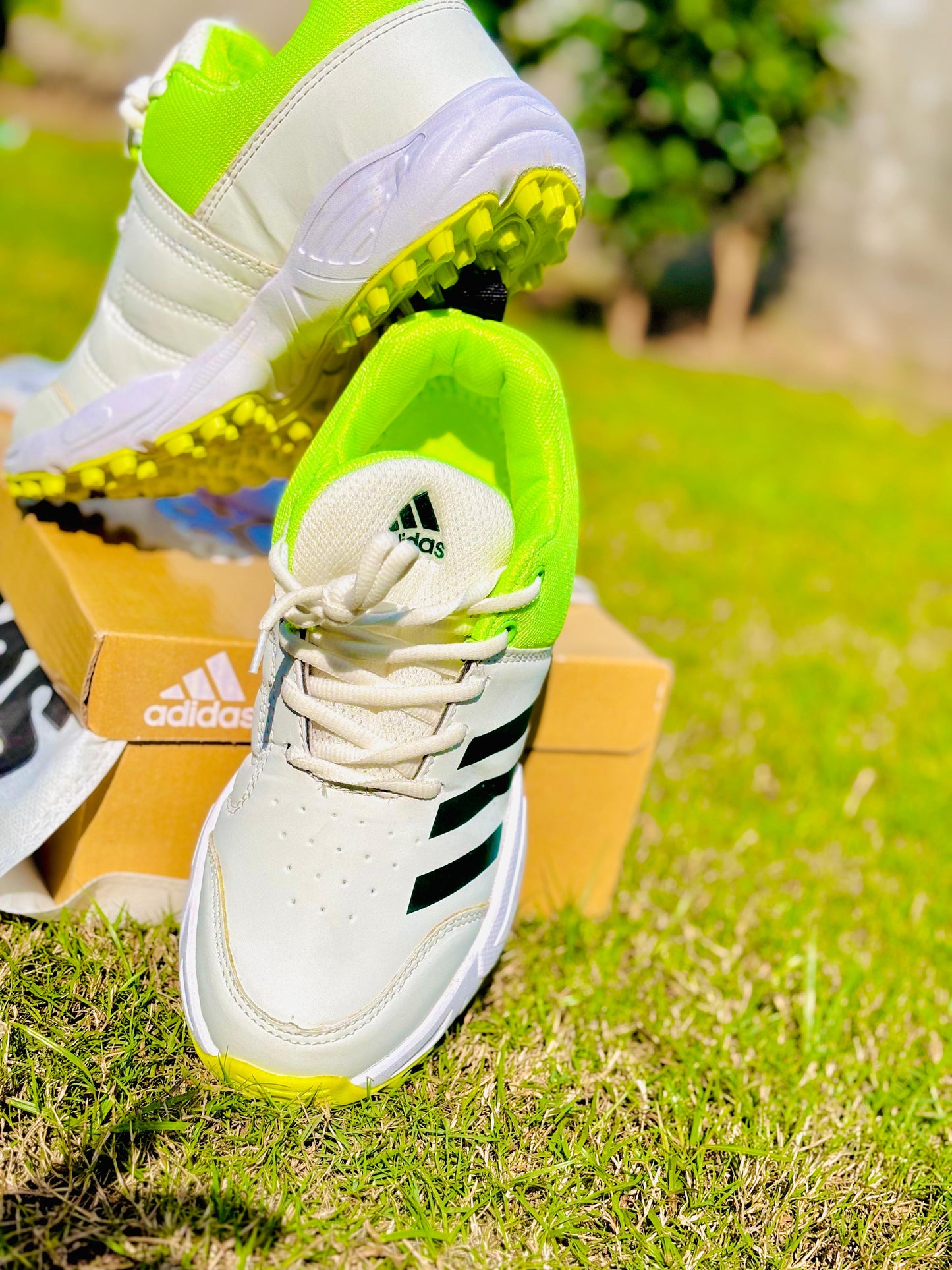 Adidas Sports Gripper